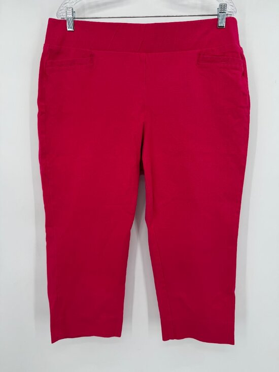 Soft Surroundings Pants - Soft Surroundings Women’s PXL Pink Stretch Pull On Capri Pants
